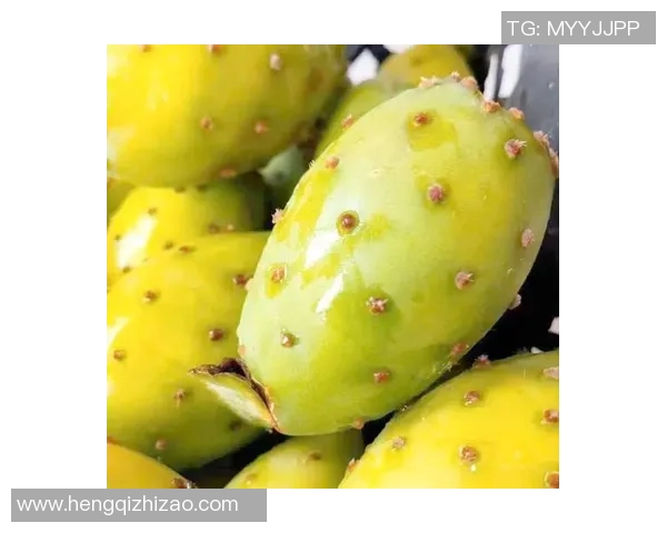 水果的多样魅力：探索全球特色水果的营养价值与健康益处